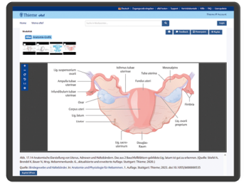 eRef Hebammen professional Screenshot Anatomie